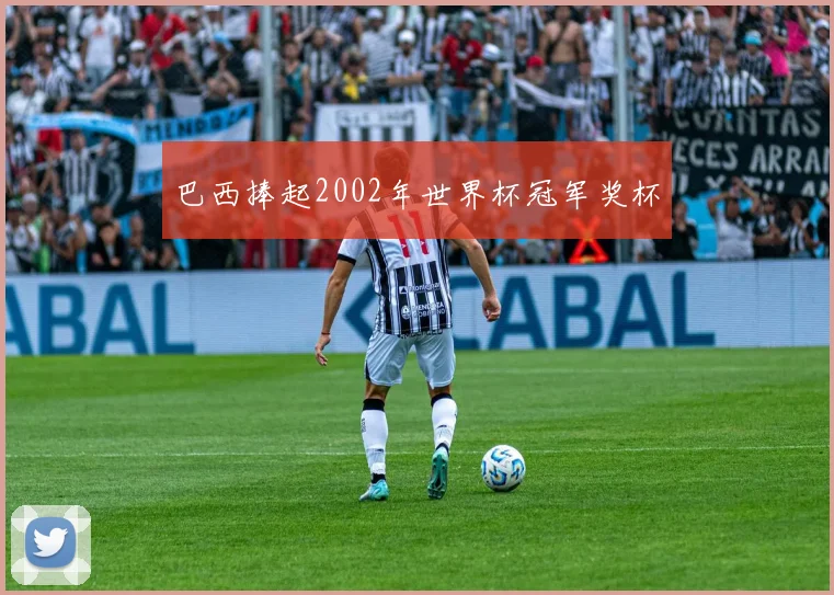 巴西捧起2002年世界杯冠军奖杯